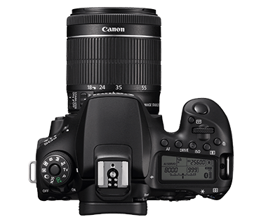 canon-EOS 90D (EF-S18-55mm f3.5-5.6 IS STM) - Image 4